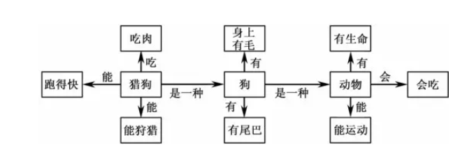 图1-2 狗的语义网络